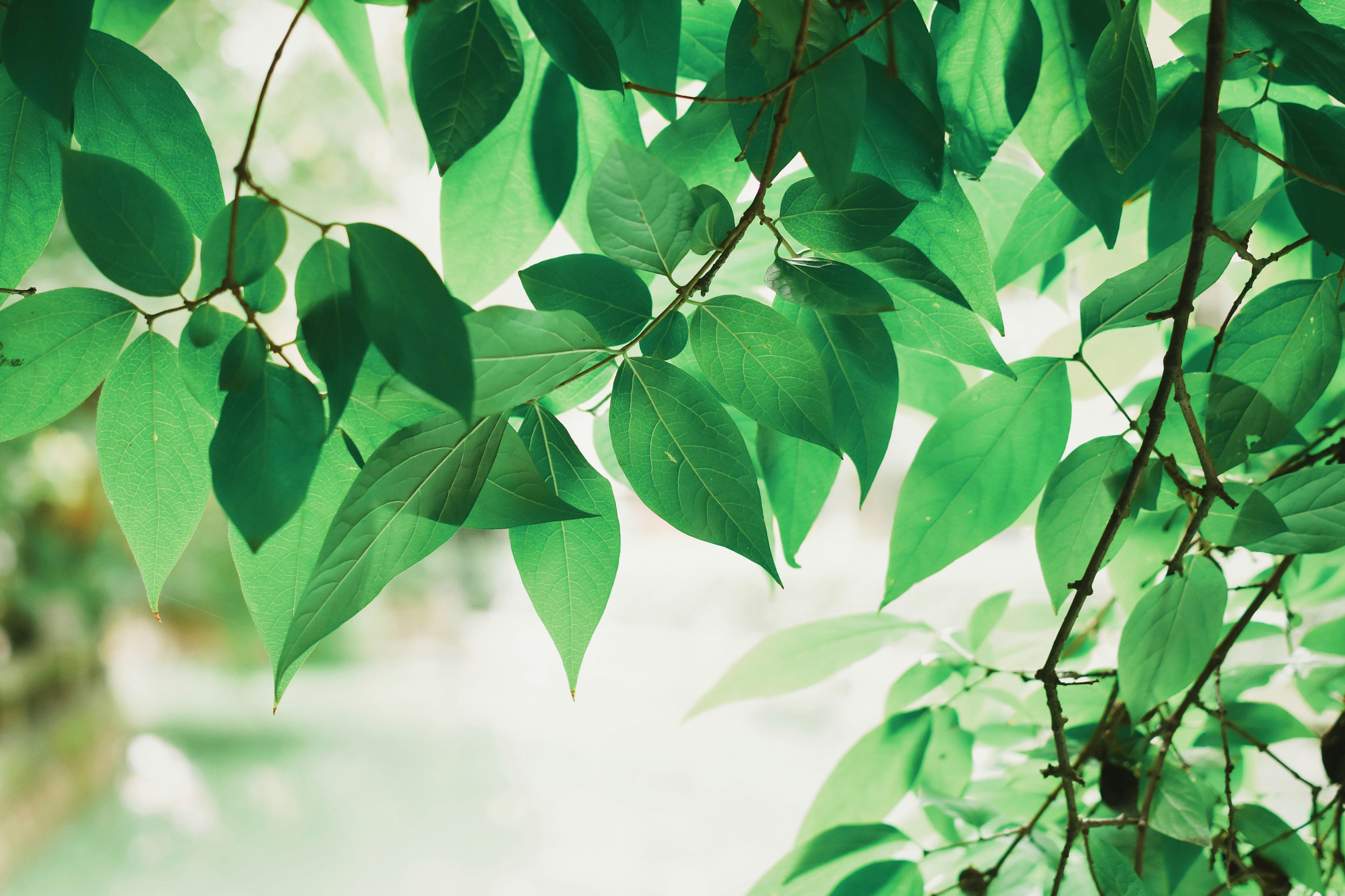 AdobeStock_110569078